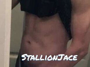 StallionJace