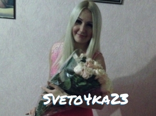 Sveto4ka23