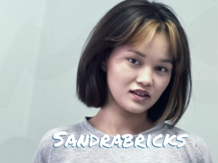 Sandrabricks