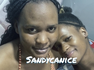 Sandycanice