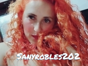 Sanyrobles202