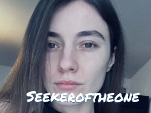 Seekeroftheone