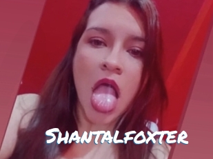 Shantalfoxter