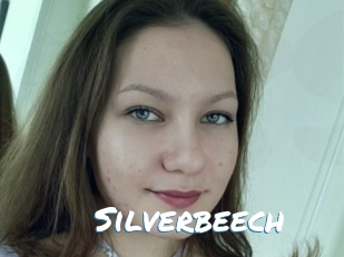 Silverbeech