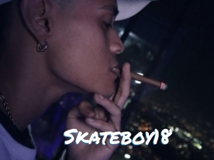 Skateboy18