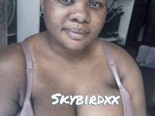 Skybirdxx