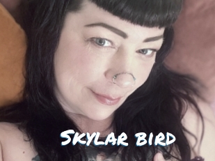 Skylar_bird