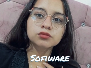 Sofiware