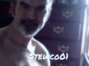Stewco01