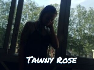 Tawny_Rose