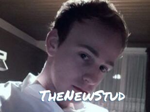 TheNewStud