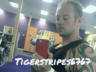 Tigerstripes6767