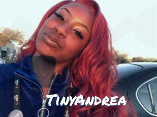 TinyAndrea