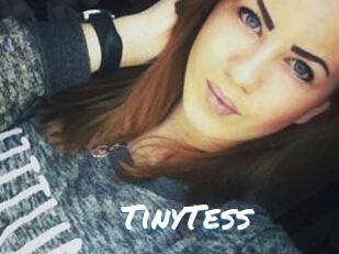 TinyTess