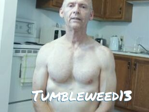 Tumbleweed13