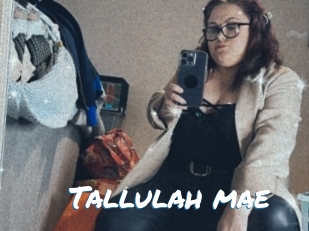 Tallulah_mae