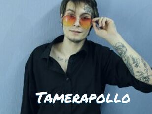 Tamerapollo