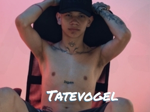 Tatevogel