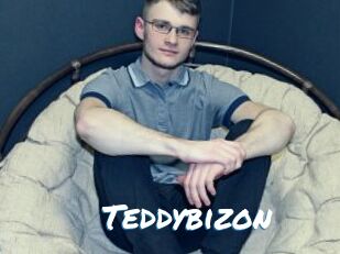 Teddybizon