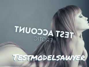 Testmodelsawyer