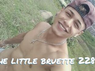 The_little_bruette_228