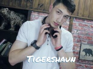 Tigershaun