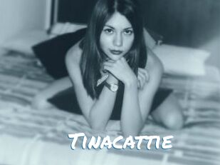 Tinacattie