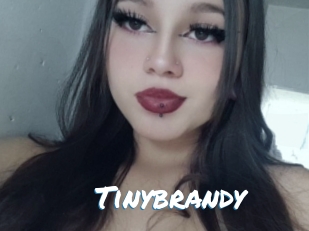 Tinybrandy