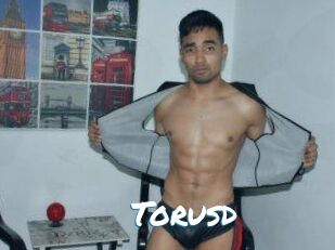 Torusd