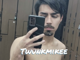 Twunkmikee