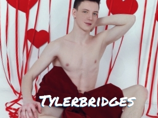 Tylerbridges