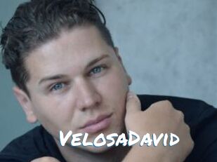 VelosaDavid