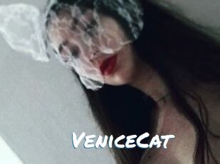 VeniceCat