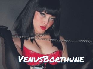 VenusBorthune