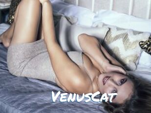 VenusCat