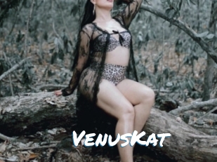 VenusKat