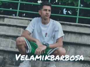 Velamikbarbosa