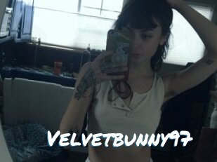 Velvetbunny97