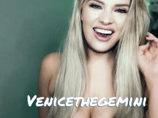 Venicethegemini