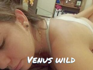 Venus_wild