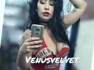 Venusvelvet