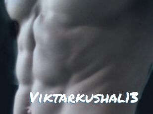 Viktarkushal13