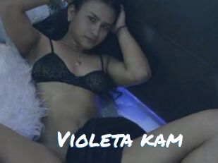 Violeta_kam