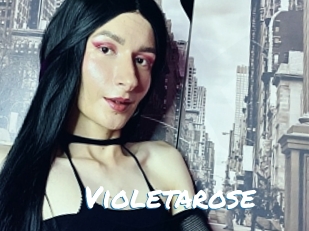 Violetarose