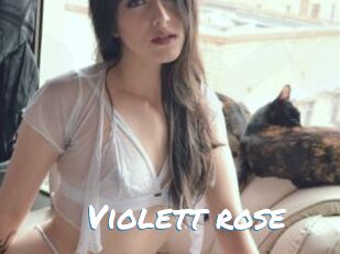 Violett_rose