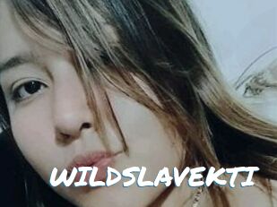 WILDSLAVEKTI