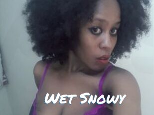 Wet_Snowy