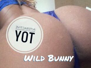 Wild_Bunny_