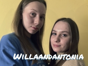 Willaandantonia