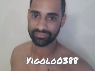 Yigolo0388